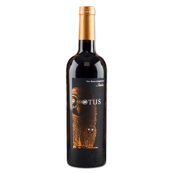 IT ASIO OTUS Cabernet Merlot Shiraz 13 % Vol. 750 ml