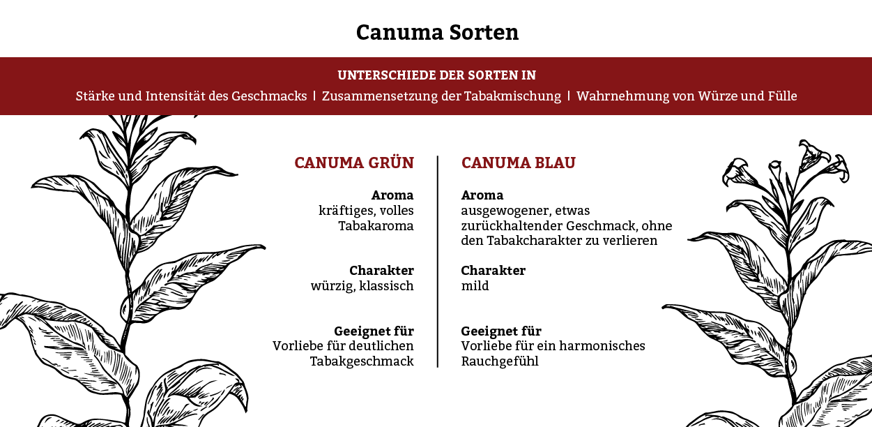 Canuma Sorten Infografik