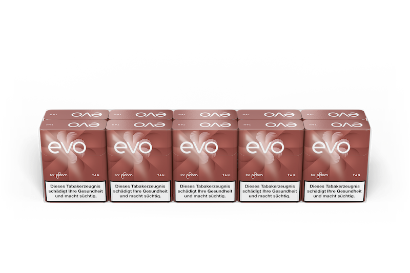 10 Schachteln EVO Tan SW16183