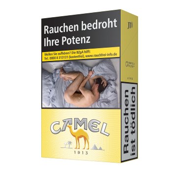 Camel Filters Zigaretten 100's (8x30)