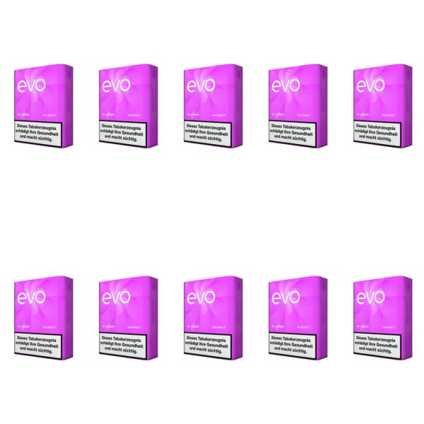 10 Schachteln EVO Garnet