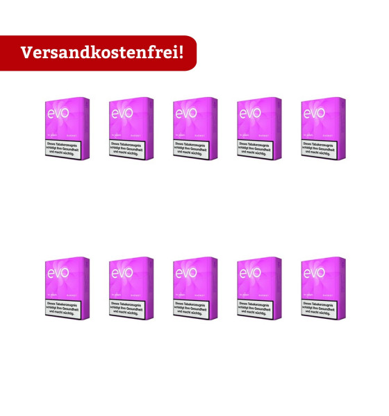 10 Schachteln EVO Garnet